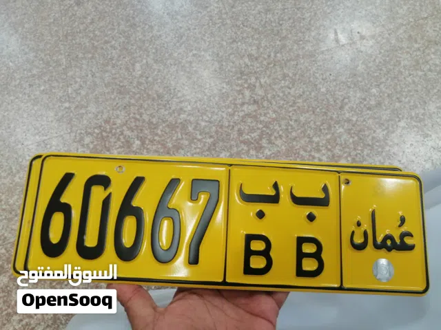 رقم مميز 60667 ب