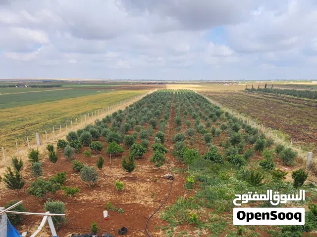 Industrial Land for Sale in Daraa Other