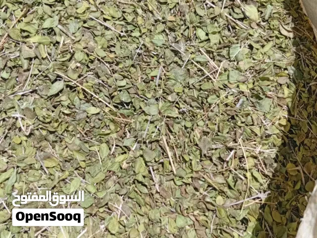 جواني سعتر عماني