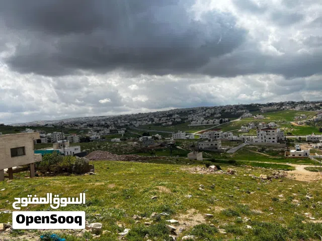 Residential Land for Sale in Amman Shafa Badran