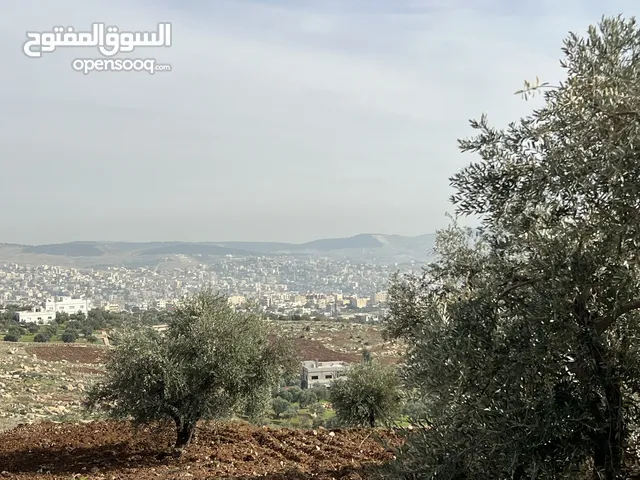 Mixed Use Land for Sale in Jerash Al-Hashimiyyah