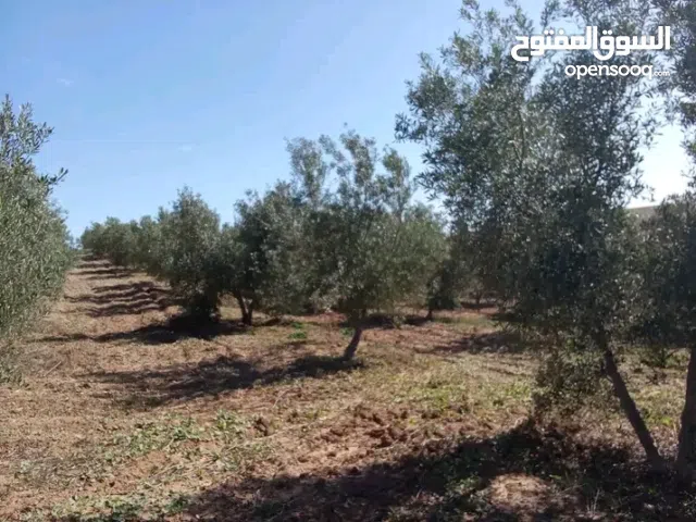 Mixed Use Land for Sale in Rabat Other