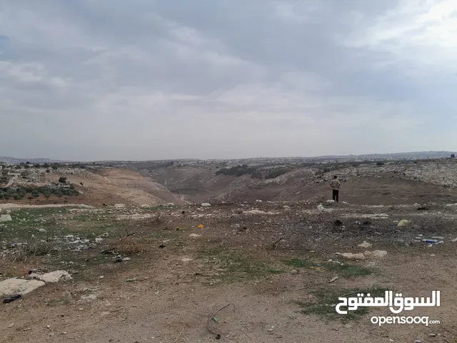 Residential Land for Sale in Irbid Hawr