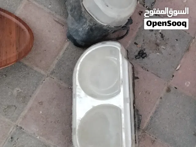 للبيع اضاءه اماميه وخلفية دودج تشالنجر