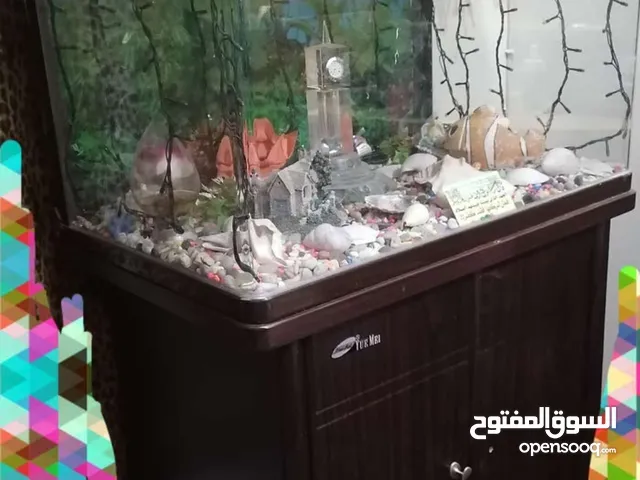 حوض لأسماك الزينه ((( ماركة إيطالي أصلية))) استعمال خفيف جدا وحالته ممتازه مصنوع من الزجاج الس