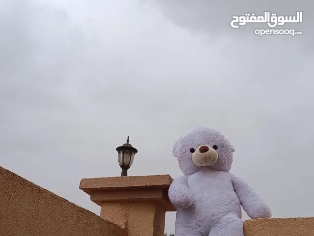 دبدوب ابيض