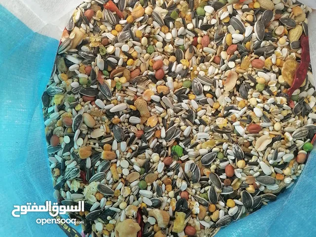 خلطات بذور للطيور بمواصفات عالية