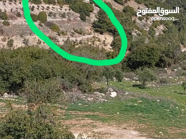 قطعة ارض للبيع