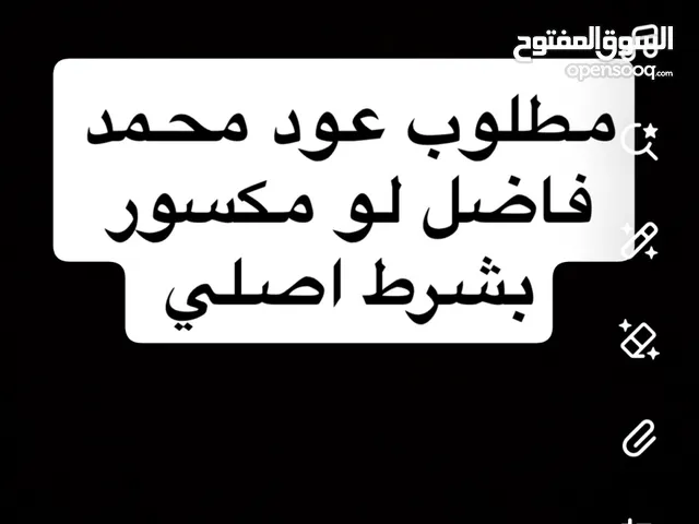 مطلوب عود محمد فاضل التواصل خاص بالدردشه فقط