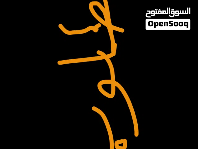 فحل راعبي للبيع او مراوس بنثية