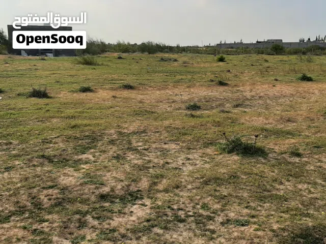 6 الاف متر في القويعة