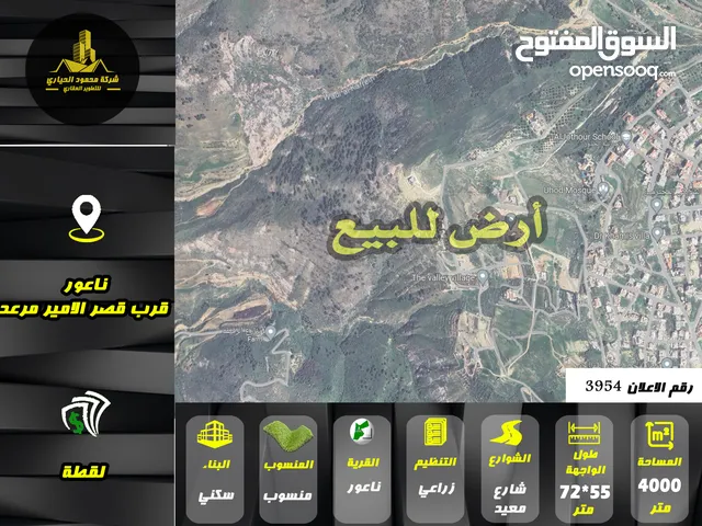 رقم الاعلان (3954) ارض زراعية باطلالة بانورامية للبيع في منطقة ناعور