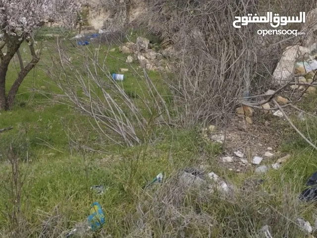 ارض للبيع من المالك مباشرة 600 متر او شعب الملح دير بحة