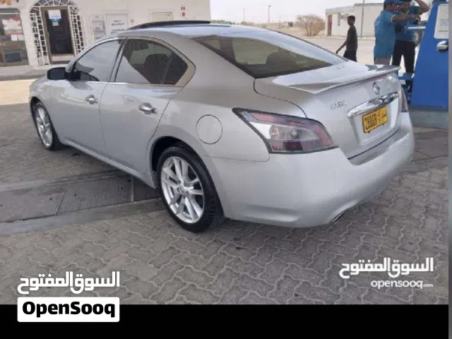 مكسيما 2013