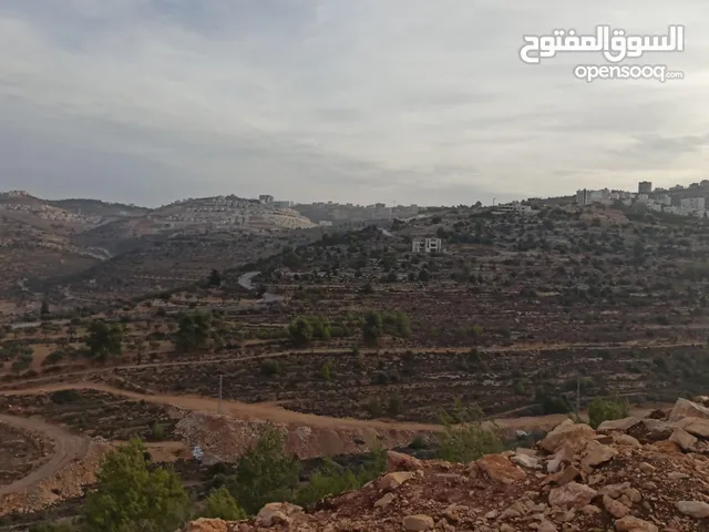 Commercial Land for Sale in Ramallah and Al-Bireh Al Tira