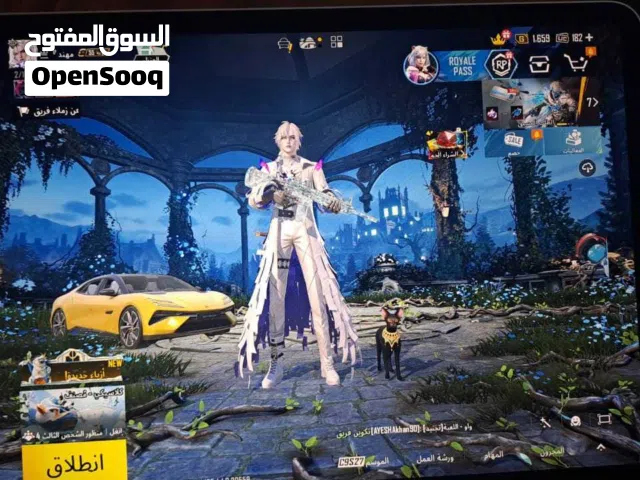 Pubg Accounts and Characters for Sale in Abu Dhabi
