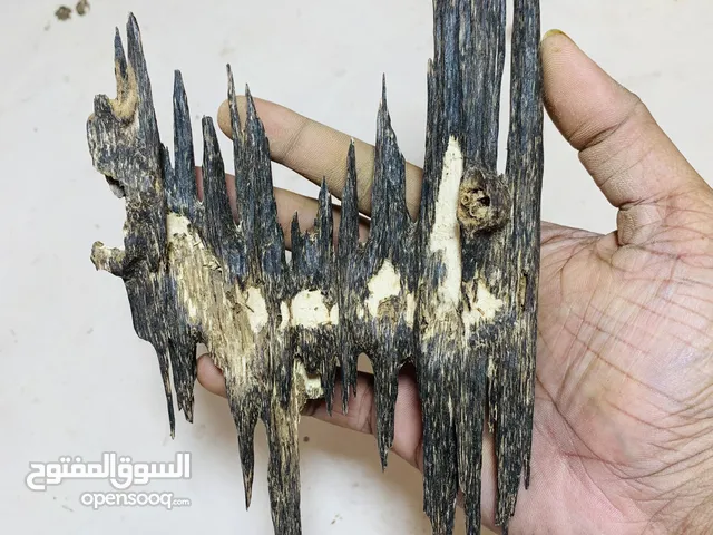 دهن العود هندي سيلاني و فلبيني موجود