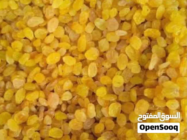 Premium Iranian Golden & Sun-Dried Raisins –  زبيب إيراني فاخر للتصدير – مورد ومصدر مباش