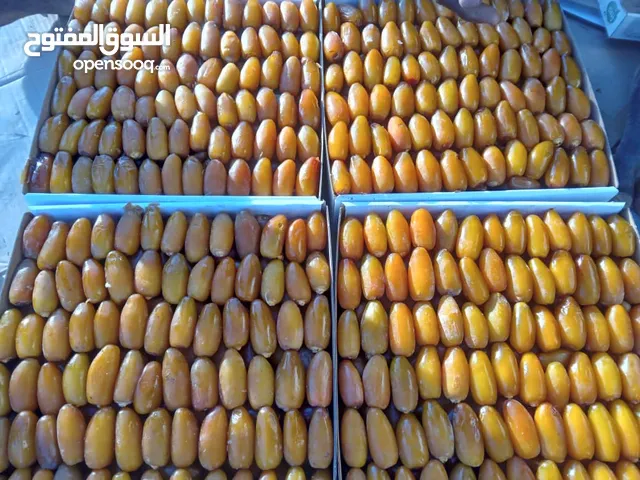 الأولى والتاني