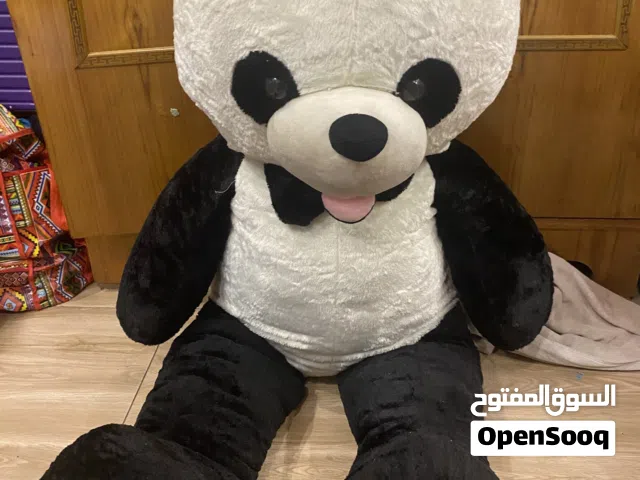 دب بادندا كبير جداً طوله 155سم