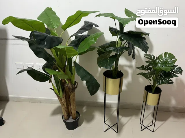 Set of 3 Artificial Indoor Plants