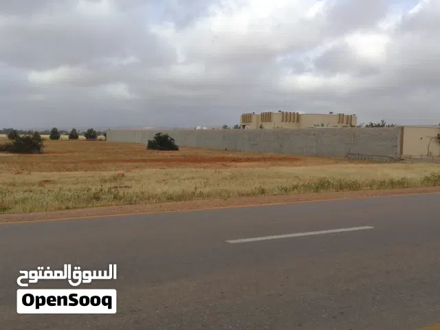قطعة ارض للبيع طريق 17 على طريق مباشره وجه 30 مساحة تقريبا 2874 متر اجراءت الله يبارك