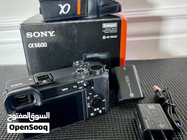 Sony a6600