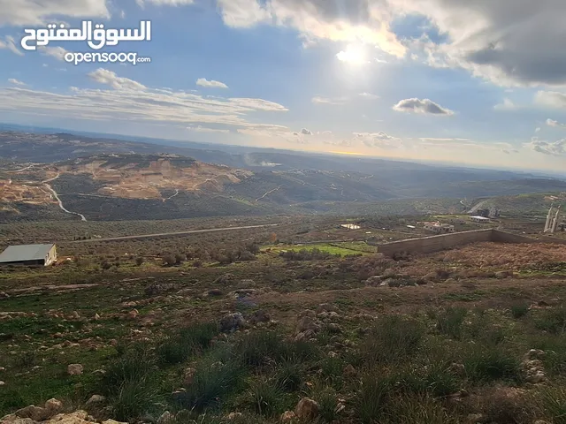 Residential Land for Sale in Nablus Tal Village