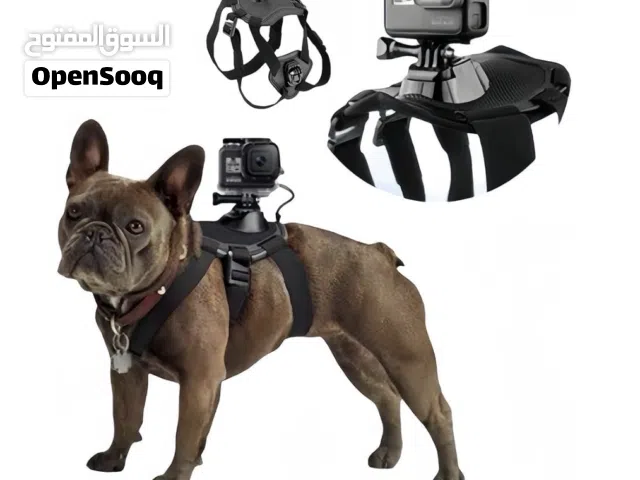 Dog harness for GoPro