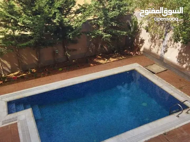 608 m2 5 Bedrooms Villa for Sale in Amman Airport Road - Manaseer Gs
