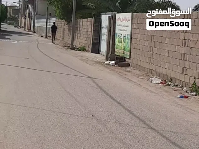 Farm Land for Sale in Basra Abu Al-Khaseeb