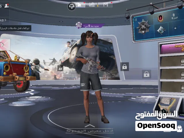 Pubg Accounts and Characters for Sale in Irbid