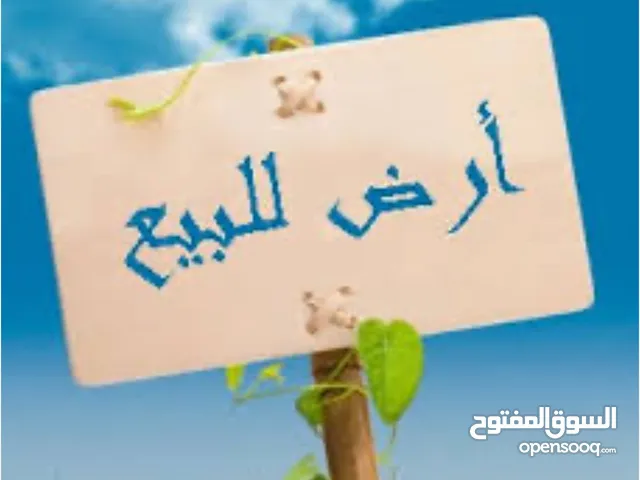 Residential Land for Sale in Baghdad Abu Dshir