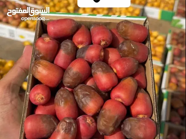 نخيل مثمر بجميع انواعه ومقاساته فسائل وجثايث ومجذر وتوصيل لجميع مناطق المملكة العربية السعودية