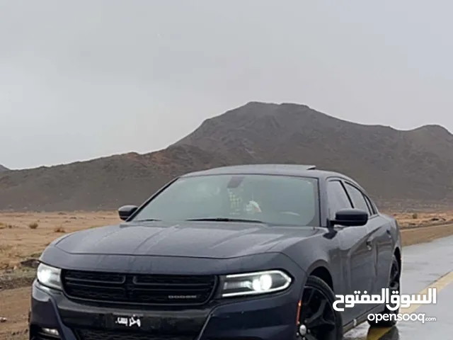 Used Dodge Charger in Tabuk
