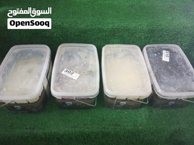 صبغ كرستال خيال