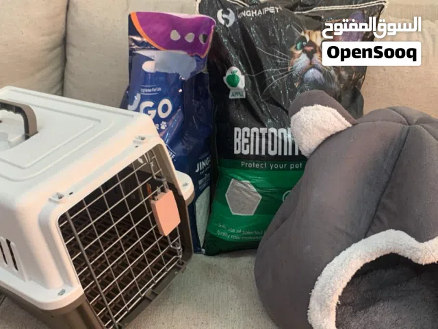 اشياء حقت القطوه