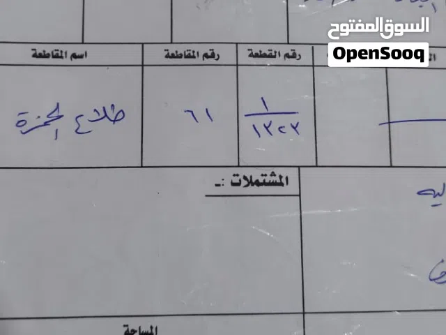 قطعه ملك صرف منطقه طلاع الحمزه