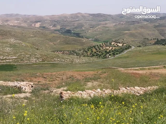 Mixed Use Land for Sale in Amman Mobes