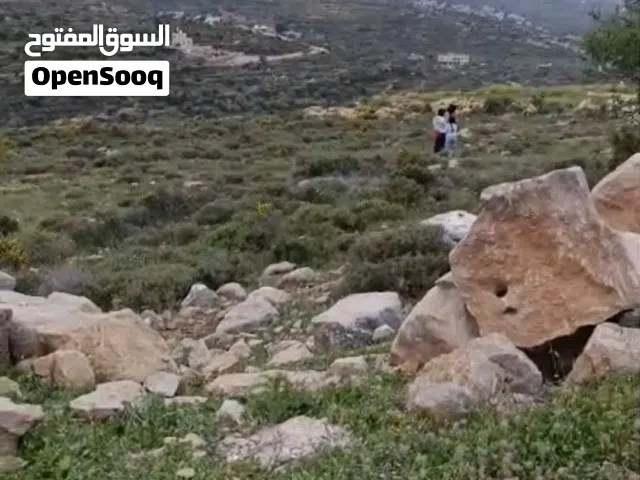 ارض للبيع في ابو شخيدم . خلة الرديني