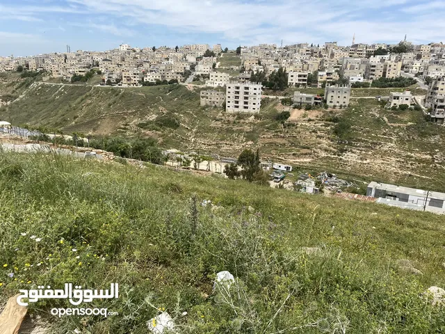 Residential Land for Sale in Irbid Al Rabiah