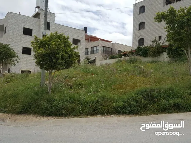 Residential Land for Sale in Tulkarm Al Hay Al Sharqi