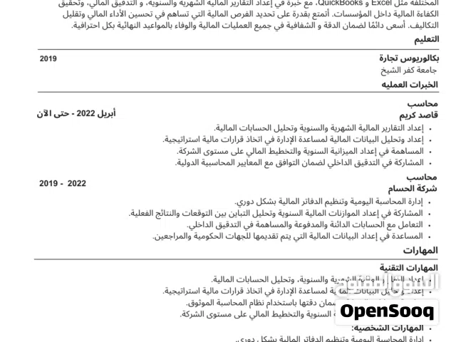 محمد سعد حسن زيتون