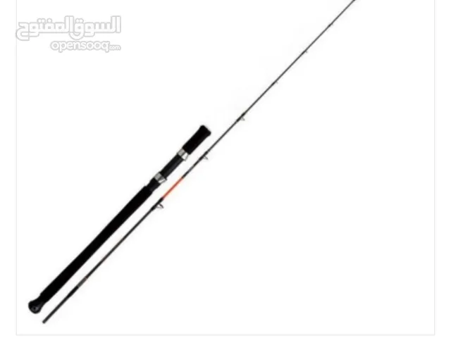 Fishing Rod & Reel