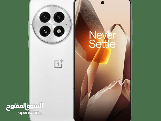 OnePlus 13