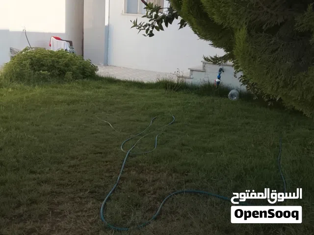 استارحه الي الايجار اليوم