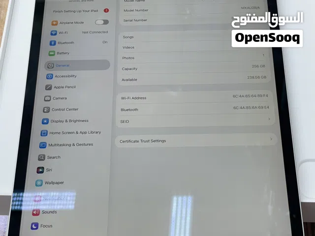 iPad pro 245gb WiFi 4th generation 12.9inch
