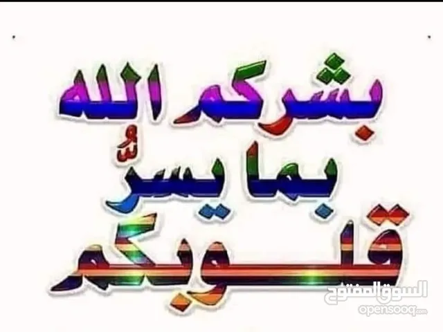 مطلوب سيارة اقساط