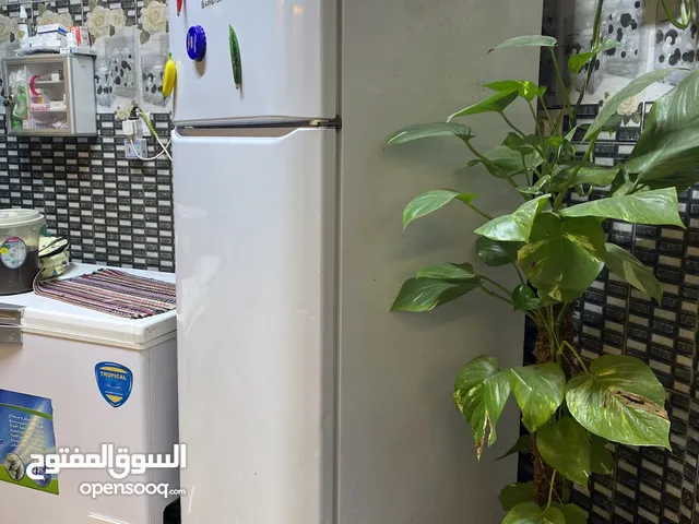 Ariston Refrigerators in Basra