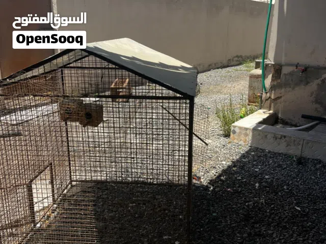 قفص طيور ااااااااااا